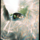Illustration for article titled Shooting Challenge: Pinhole Gallery